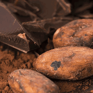 kakaopulver gesundheit