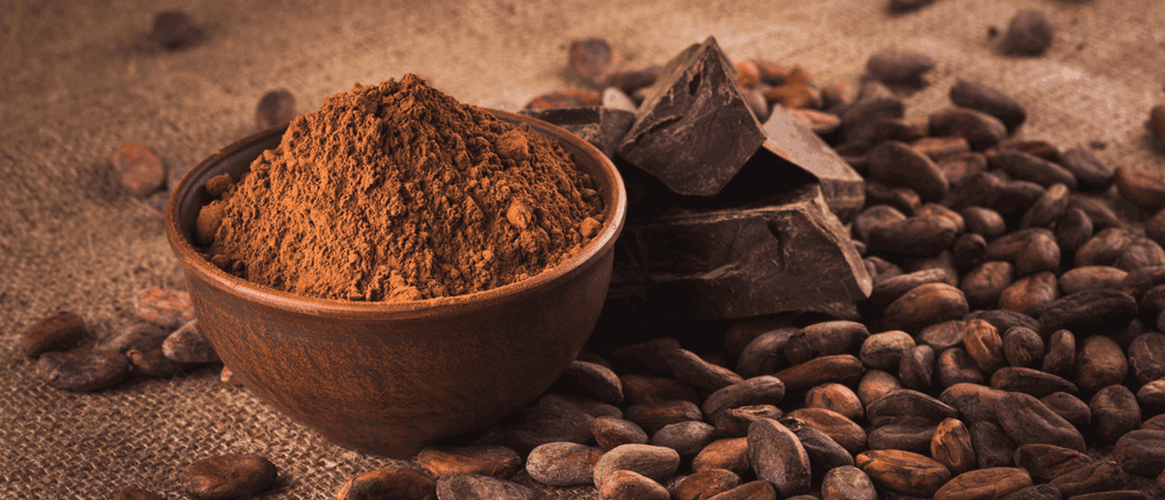 Kakaopulver Test & Vergleich » Top 20 im Februar 2023