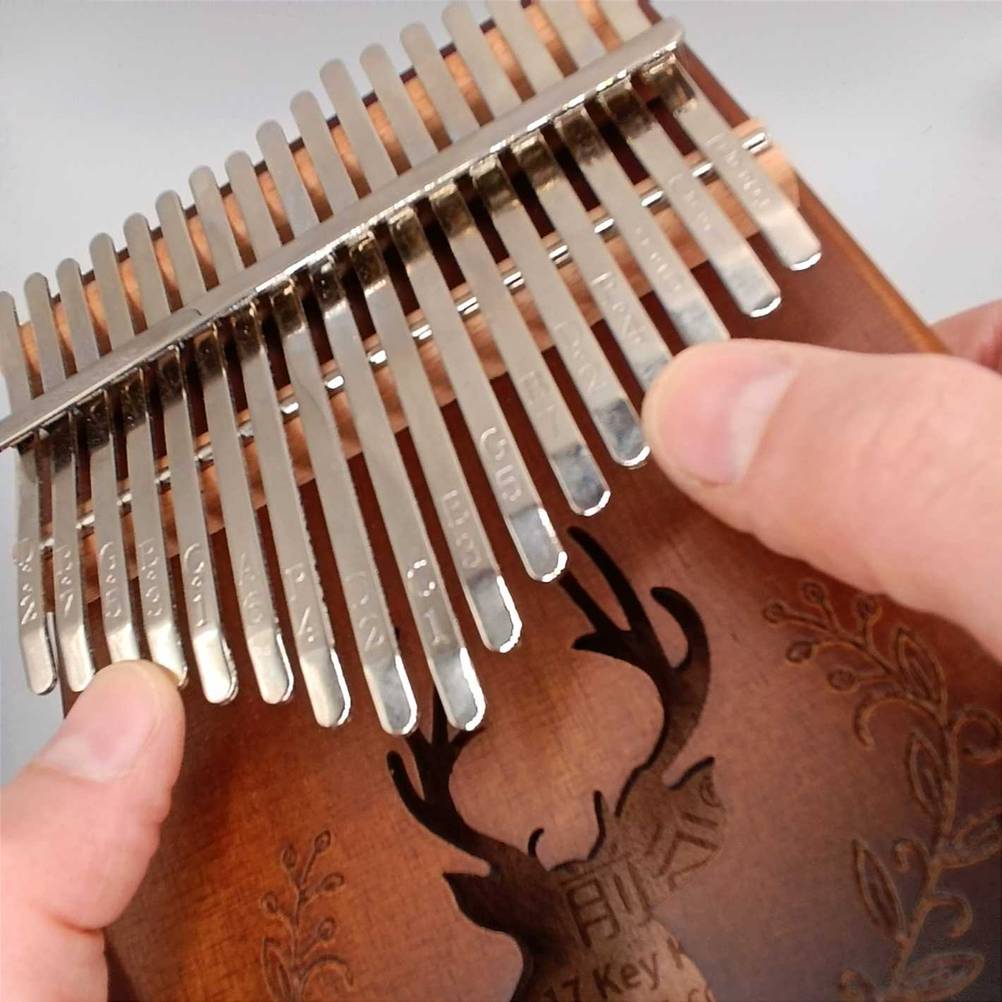 Kalimba im Test: Eine Hand hält das Instrument.
