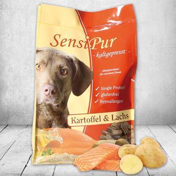 Hundefutter Test & Vergleich  Top 26 im Juni 2026