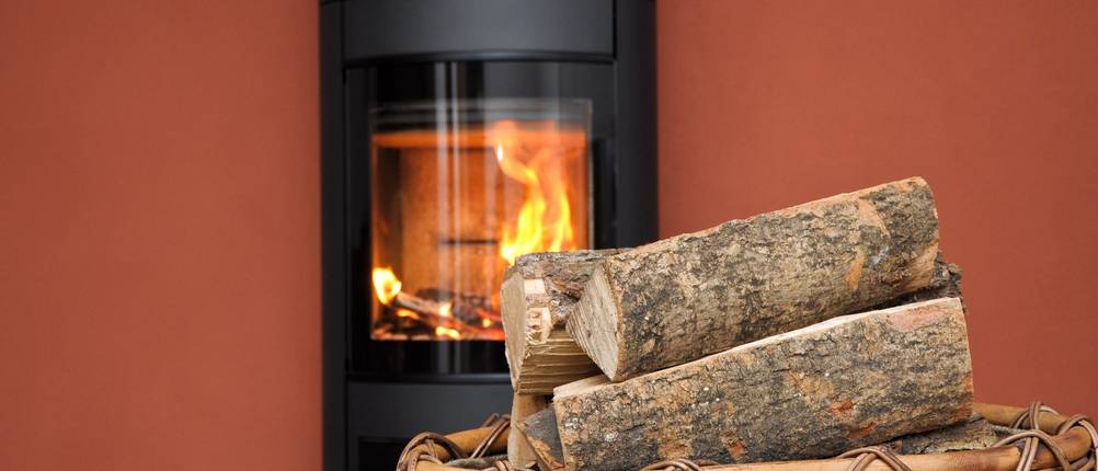 kaminoifen-mit-holz