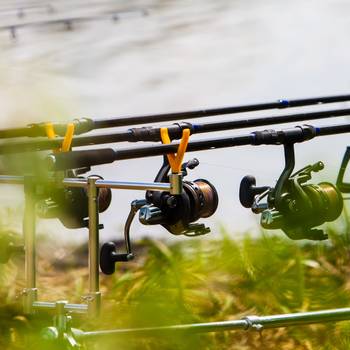 Karpfenrolle Test & Vergleich  Top 18 im Juni 2026