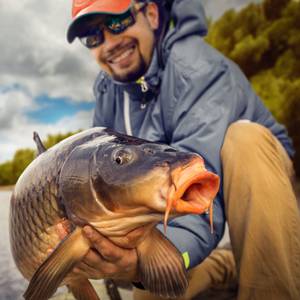 karpfenrolle-test