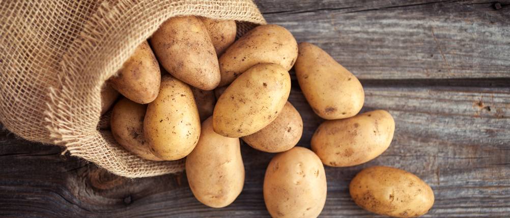 Kartoffeln-Test