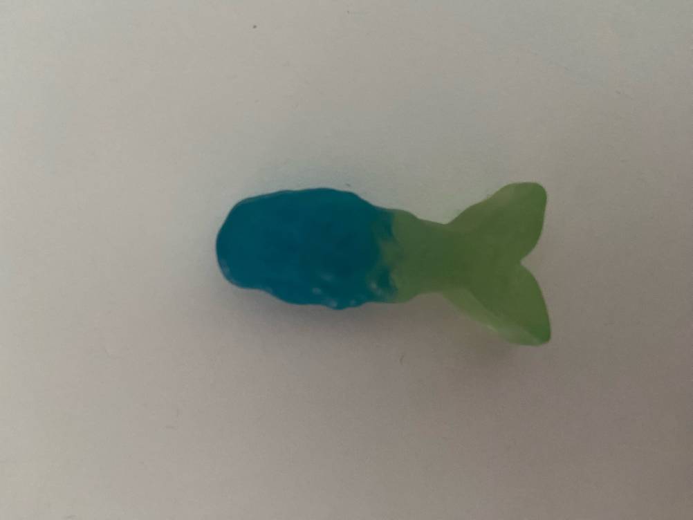 Katjes getestet: Nahaufnahme eines Fisches.
