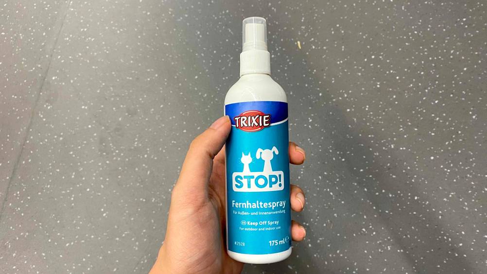 Im Test: Eine Hand hält eine Flasche vor einen grauen Hintergrund.
