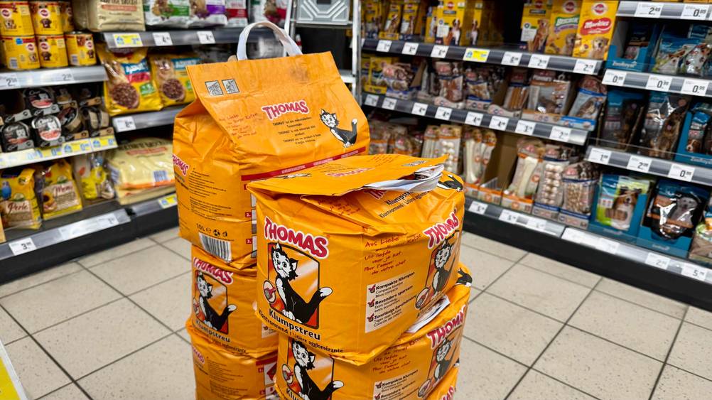 Mehrere Packungen Katzen-Klumpstreu im Test, im Hintergrund Regale.
