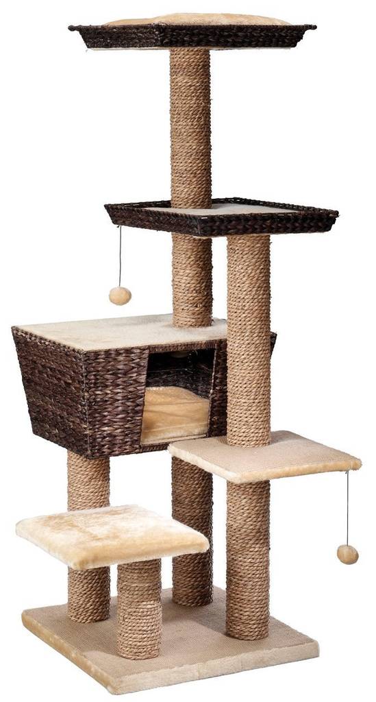 katzenbaum