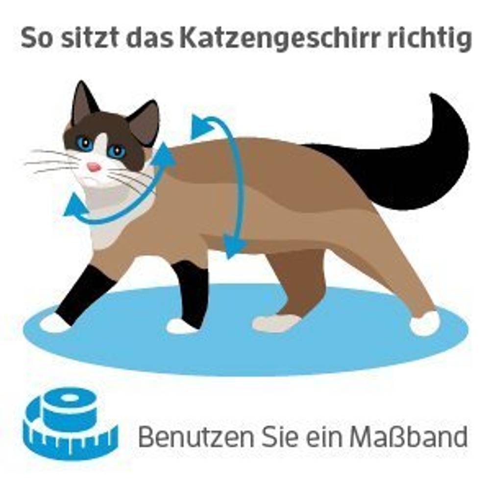 katzengeschirr-test