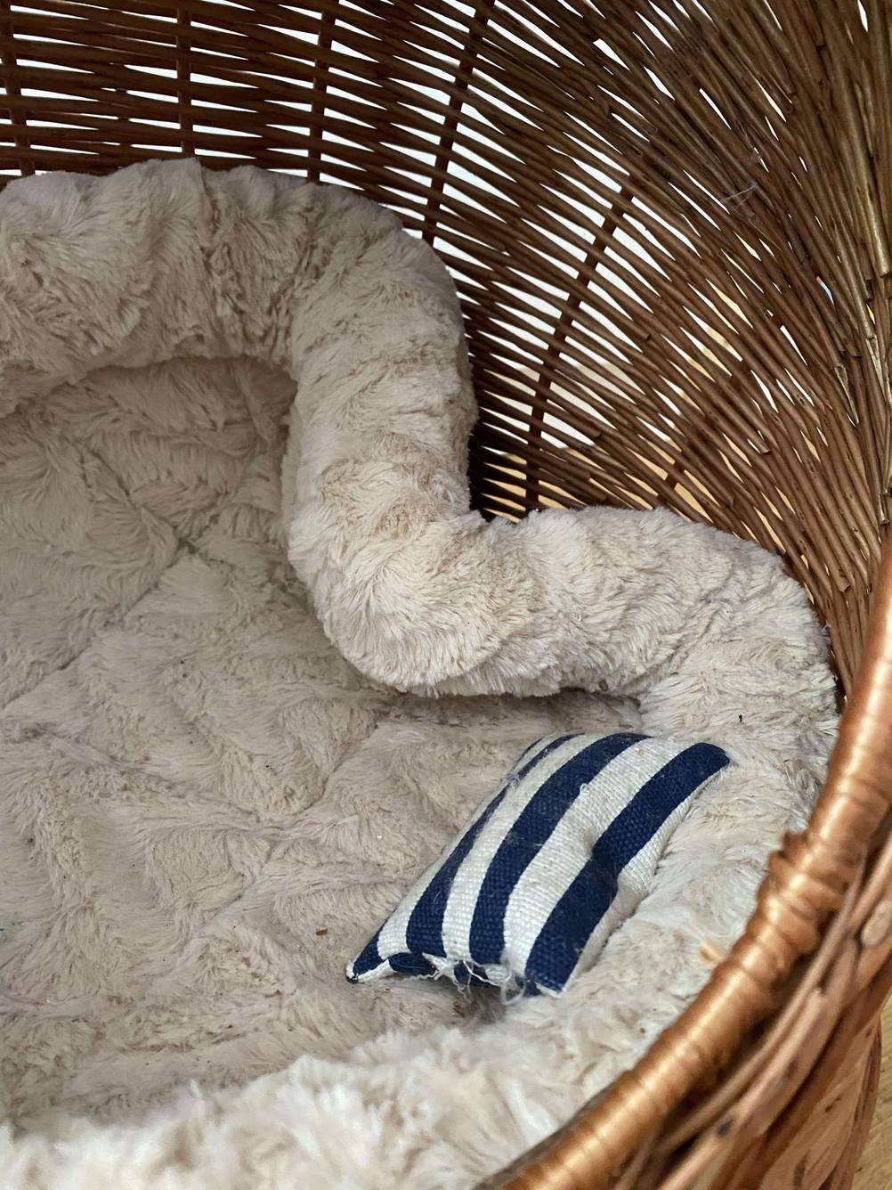 Ein Katzenbett befindet sich in einem getestetem Katzenhaus aus Holz. 