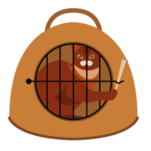 Katzenkorb Weide