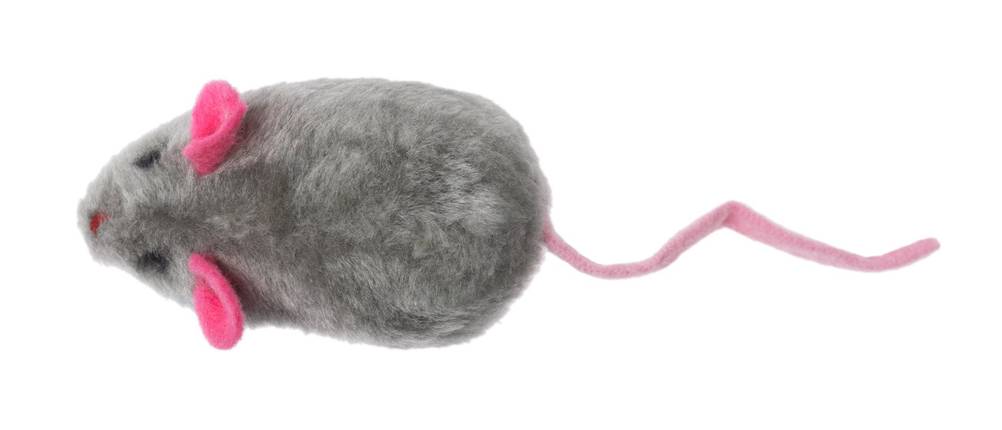 Katzenspielzeug elektrisch Test