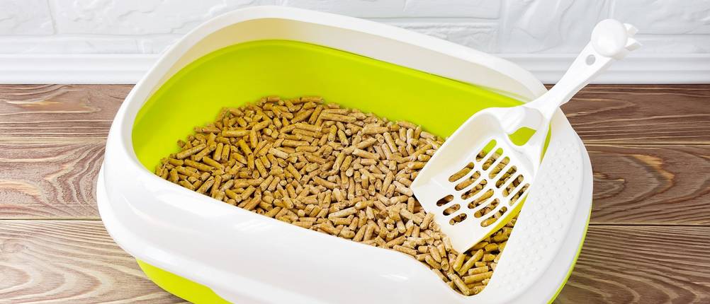 Katzenstreu Pellets Test