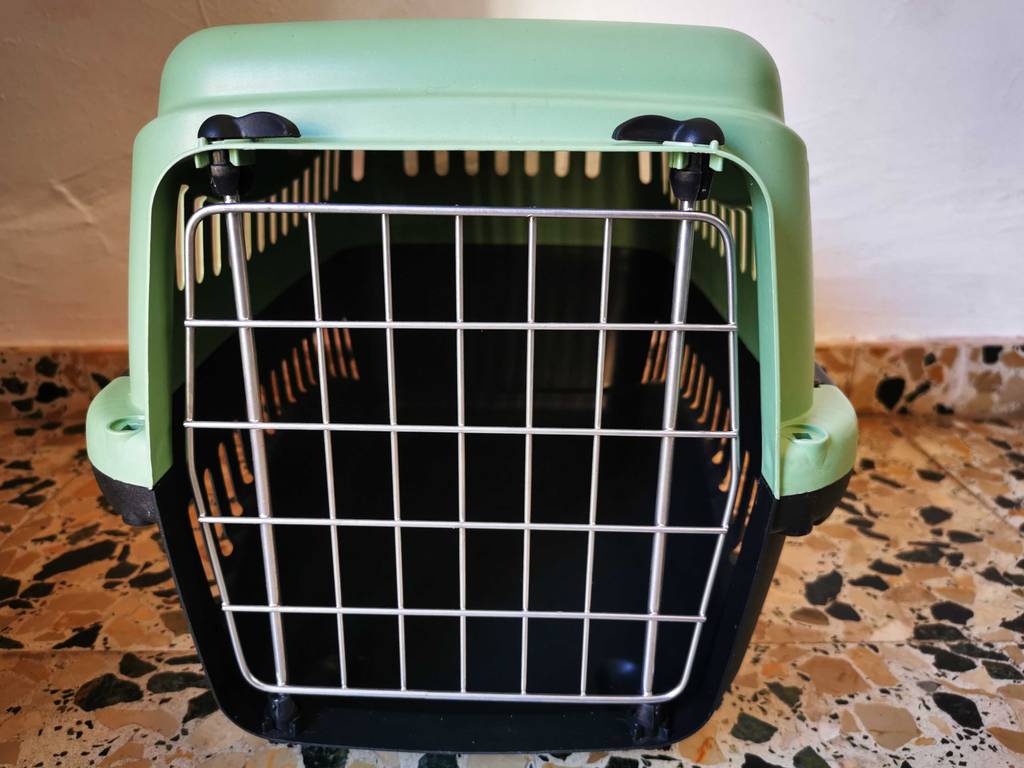 Frontansicht einer Katzentransportbox, die zum testen auf einem Fliesenboden steht.