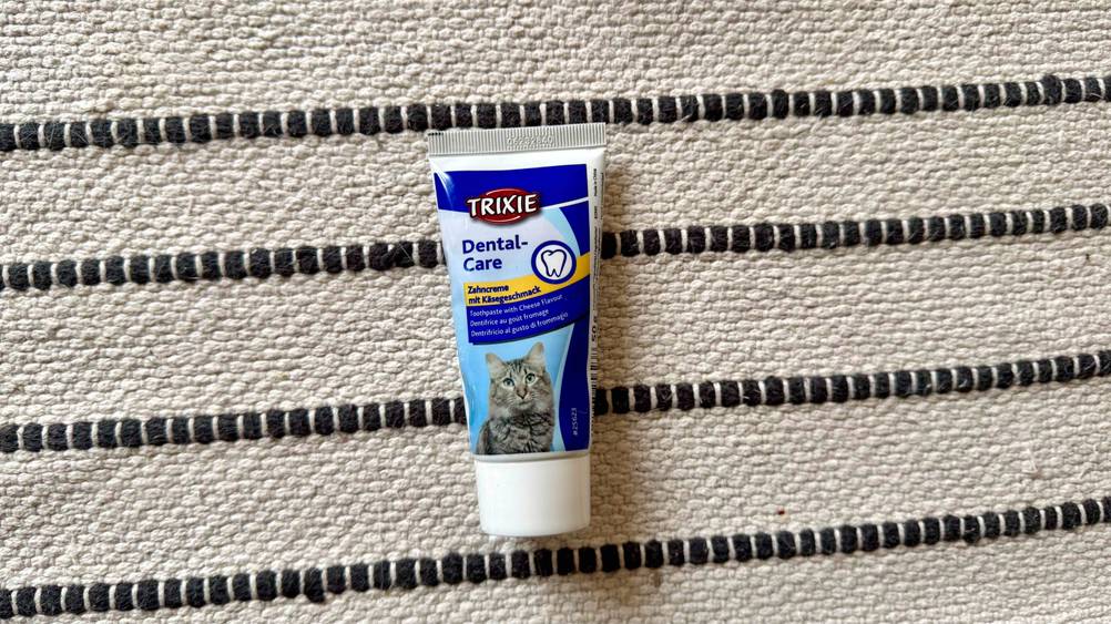 Auf einem gestreiften Teppich liegt eine Tube der Katzenzahnpasta im Test.