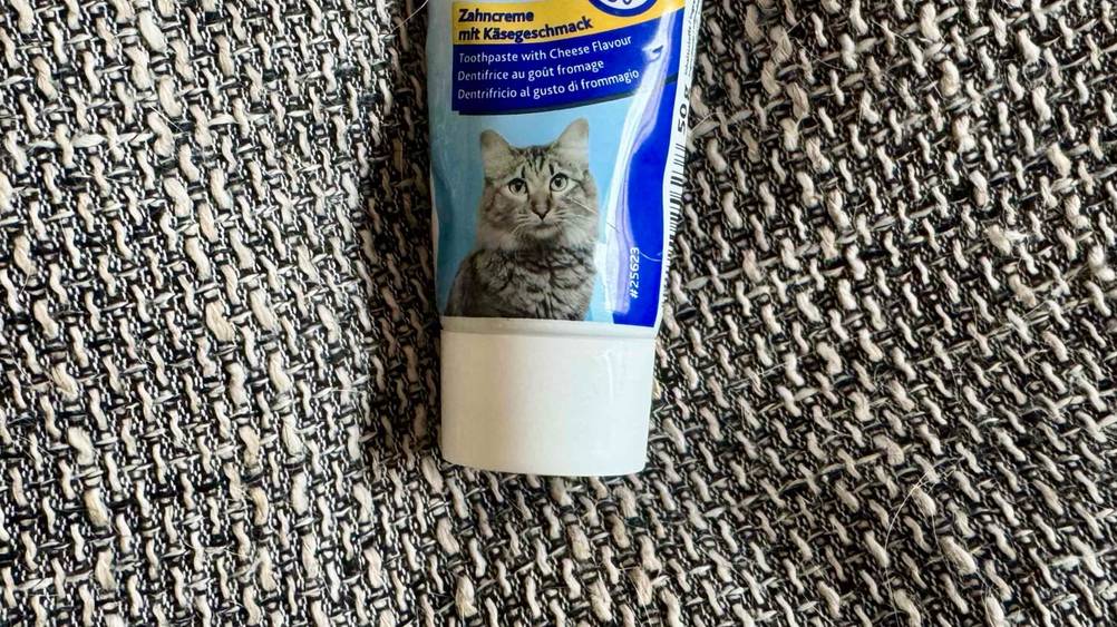 Katzenzahnpasta getestet: Nahaufnahme der Verschlusskappe.