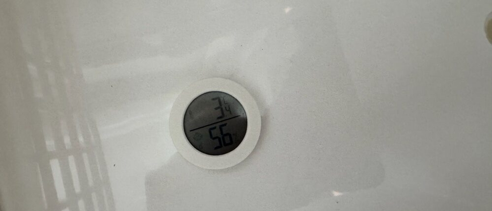 Ein Hygrometer in der Kesser-Kühlbox mit Rädern zeigt 3,4 °C an.