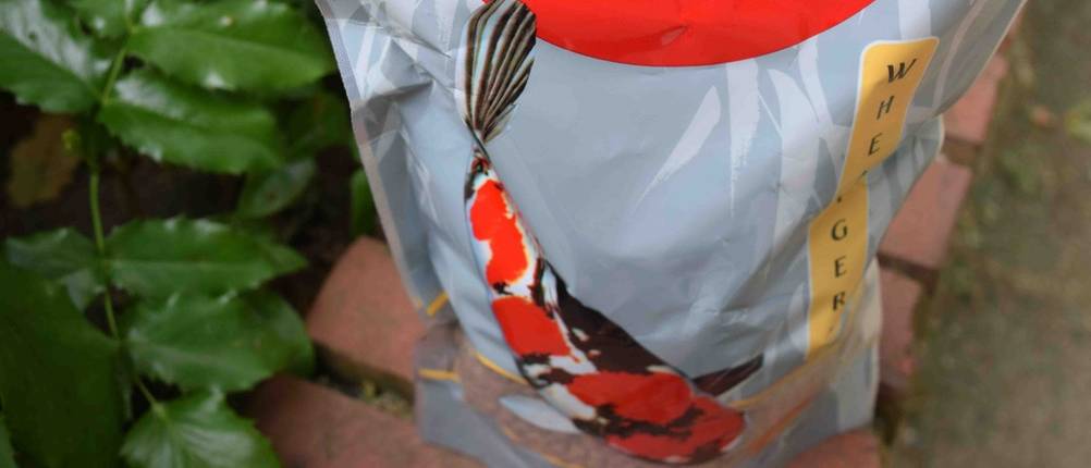 Eine Tüte Koifutter in der Nahaufnahme.