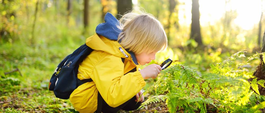 Kinder-Softshelljacke im Test: Kind mit gelber Jacke und Lupe im Wald