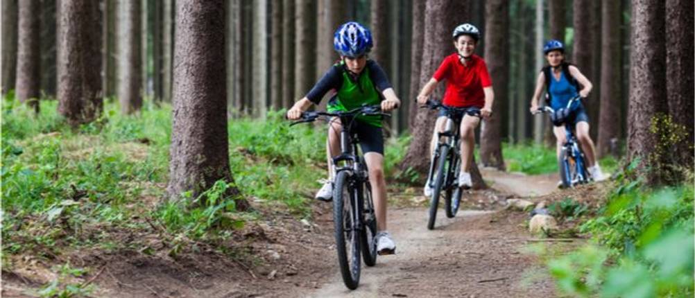 kinderfahrrad-mit-gangschaltung-test
