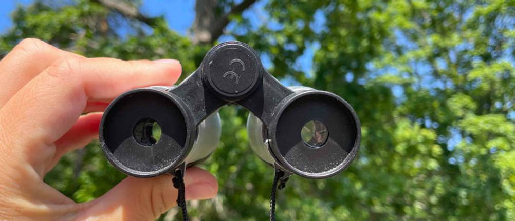 Ein in der Hand gehaltenes Kinderfernglas