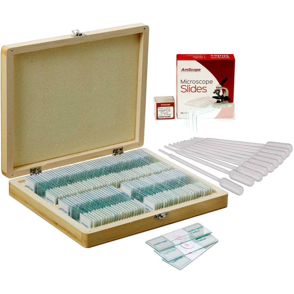 Kindermikroskop Set