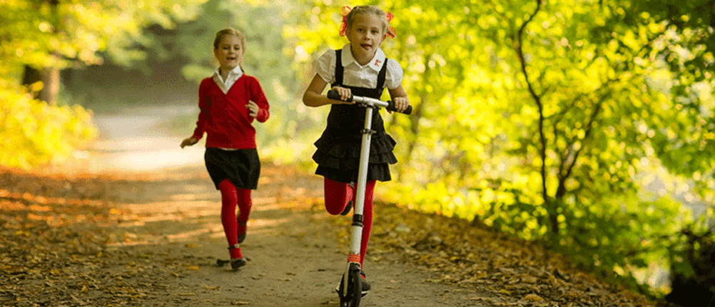 wald Kinderroller