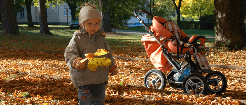 Kinderwagen Baby Laub Herbst