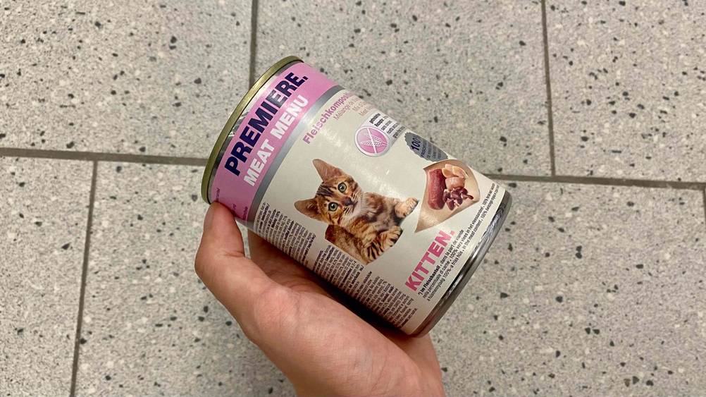 Kitten-Nassfutter im Test: Das Nassfutter wird in der Hand gehalten.