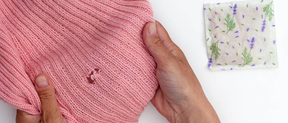 Kleidersack-Test: rosafarbener Pullover mit Mottenloch, daneben ein Mottenschutzkissen