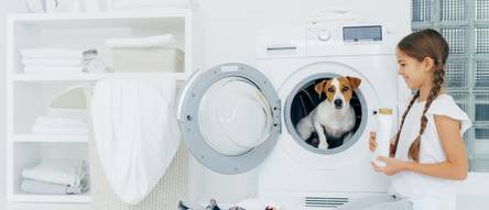 kleine Waschmaschine Test & Vergleich » Top 12 im Februar 2024