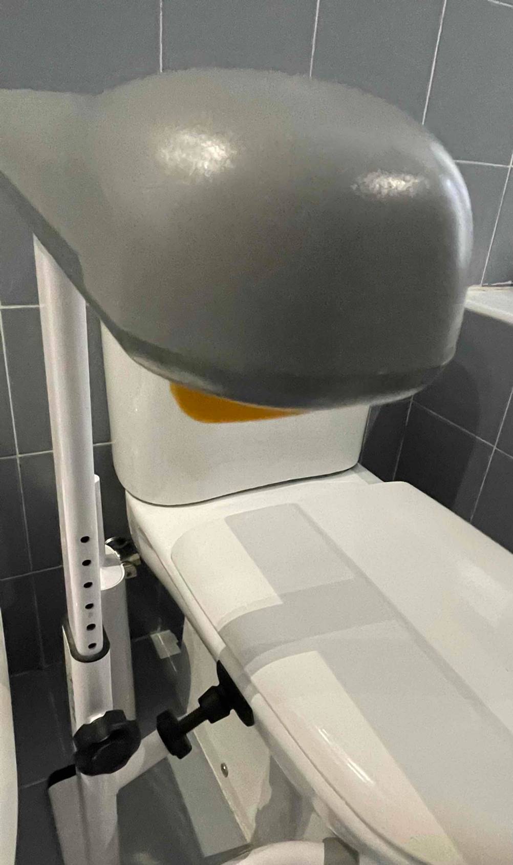 Nahaufnahme von vorn einer grau-weißen WC-Aufstehhilfe im Test an deiner Behinderten-Toilette.