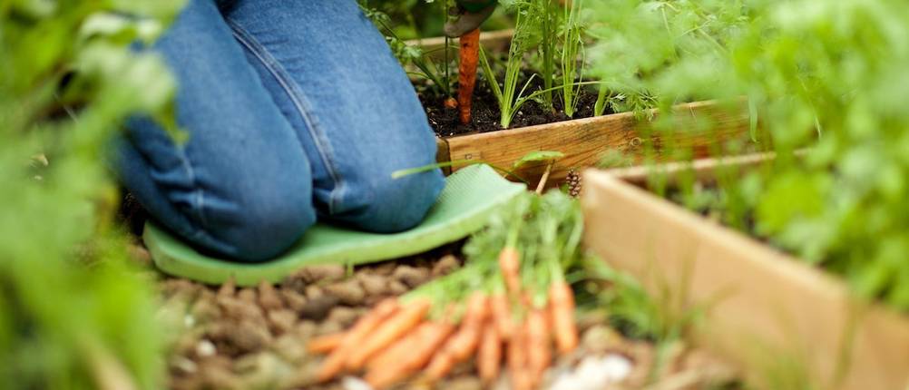 Kniekissen für den Garten im Test