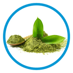 koawach vergleich mit matcha koffeingehalt