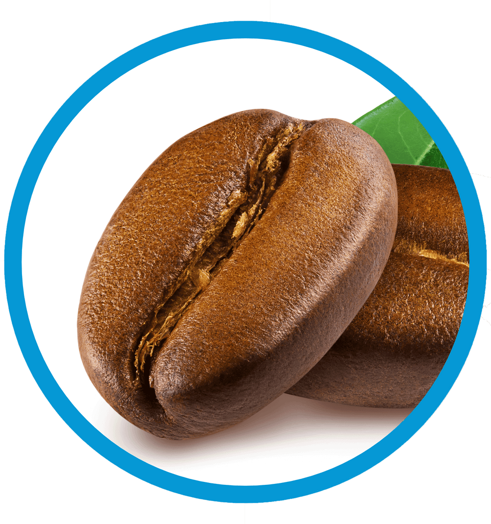 koawach kakao mit guarana vergleich kaffee koffeingehalt