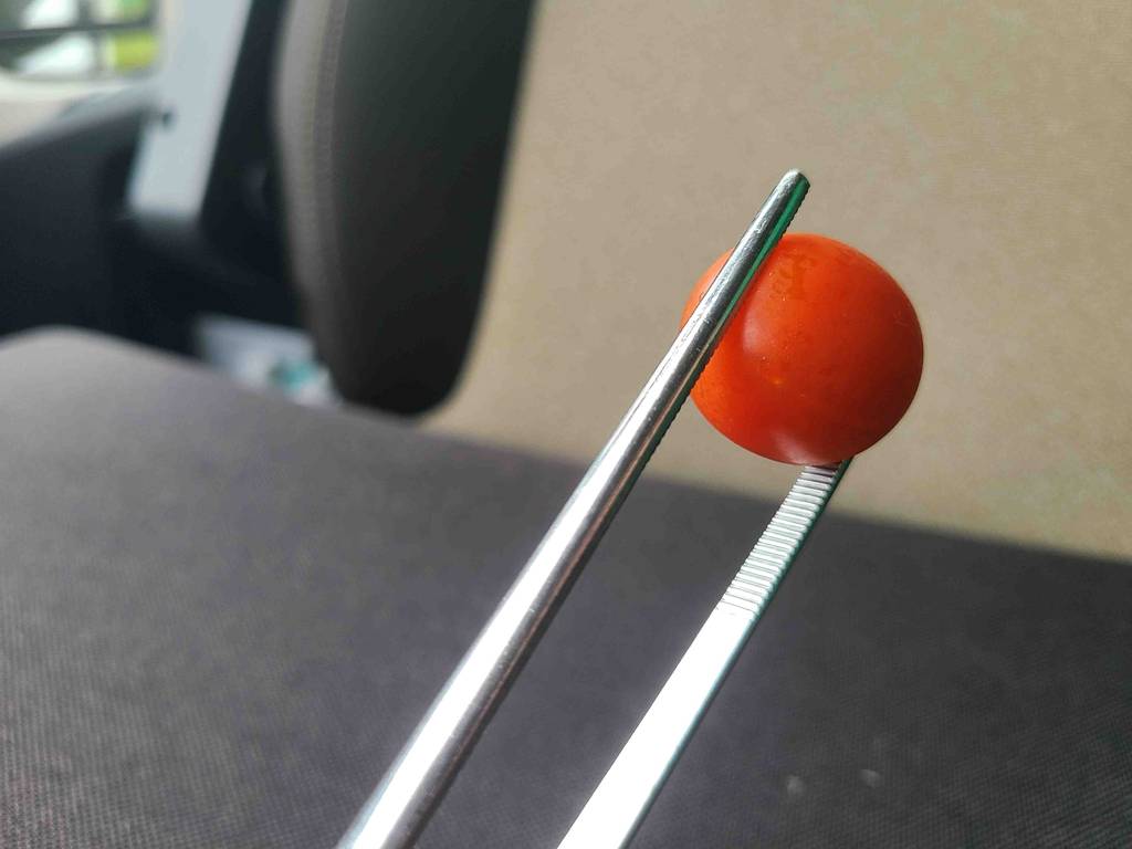 Eine Tomate klemmt zwischen einer getesteten Kochpinzette.