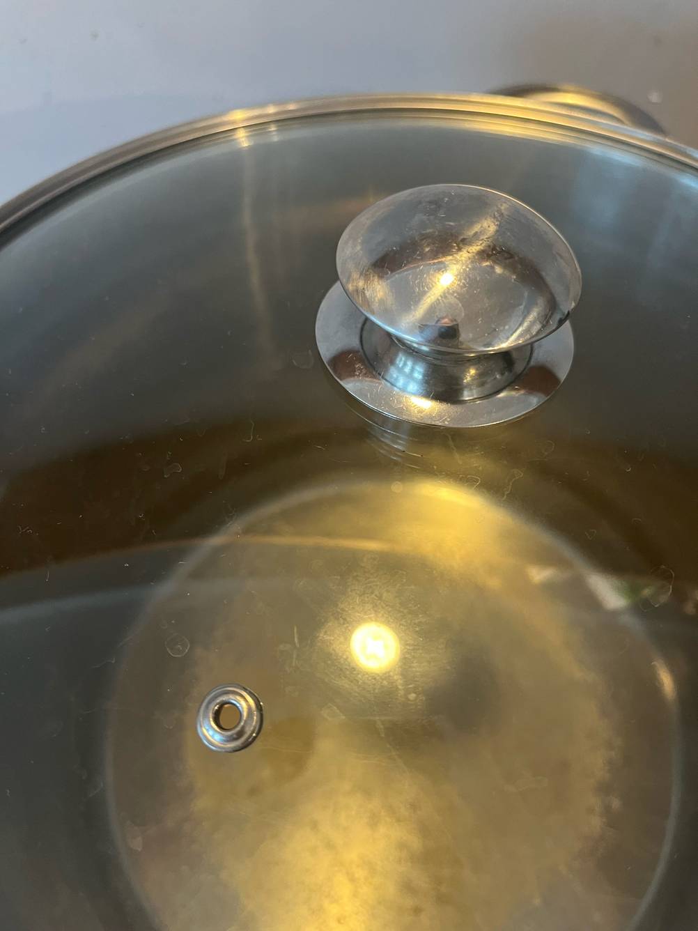 15-Liter-Kochtopf im Test: Nahaufnahme des Griffes des Deckels.