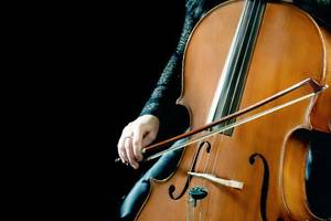 mannheimer instrumentenversicherung