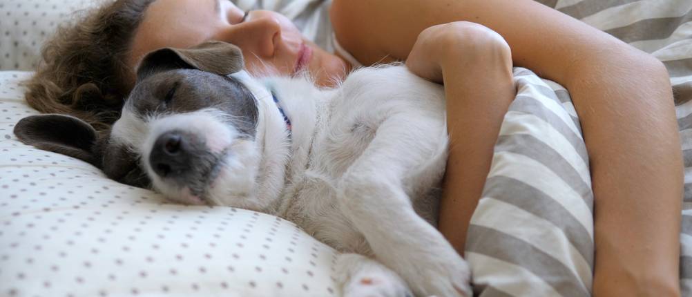 Frau mit Hund im Arm im Bett.