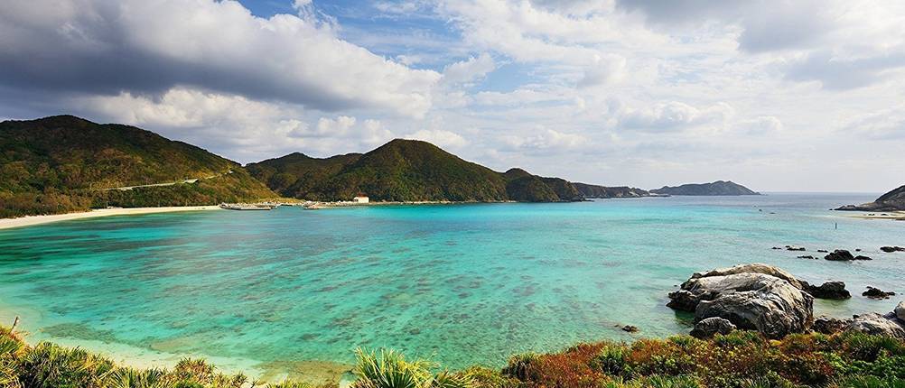 Sango-Meeres-Koralle Test - Sango-Korallen gibt es in Japan und der Karibik