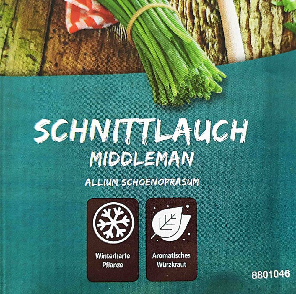 Kräuter-Samen im Test: Nahaufnahme der Vorderseite der Verpackung mit Artikelbezeichnung.