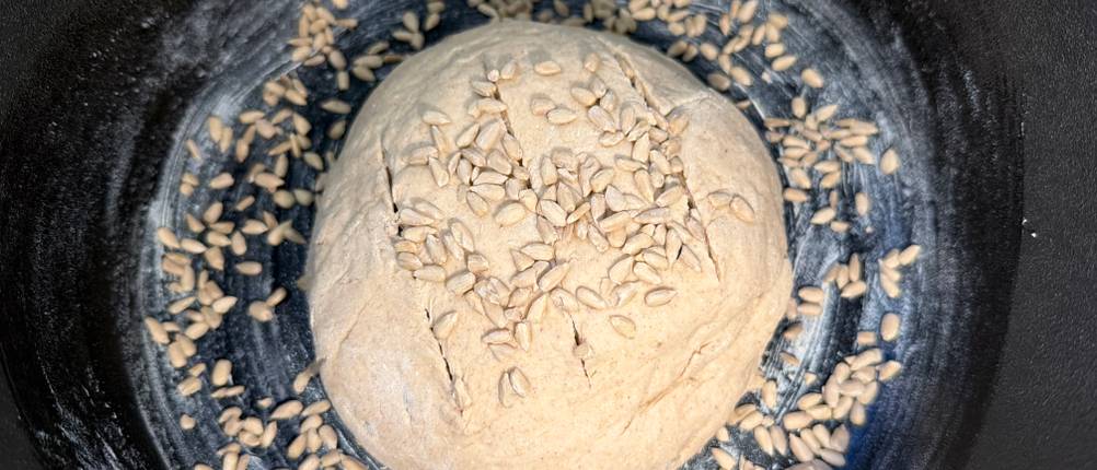 Roher Teig bedeckt mit Sonnenblumenkernen liegt im Krustenzauber-Gusseisen-Topf