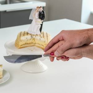 tortenmesser für zwei villeroy & boch