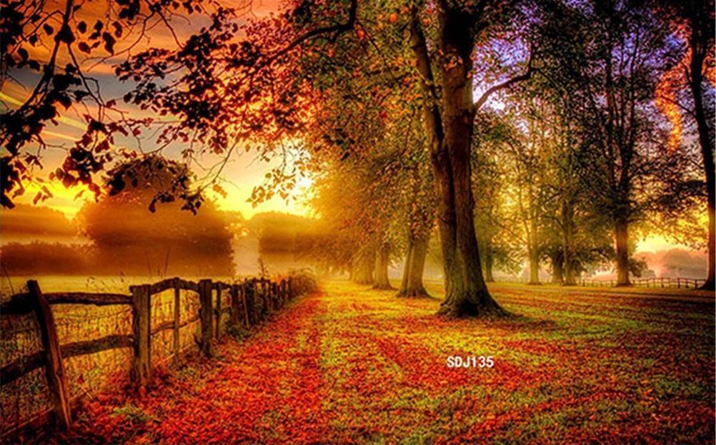 kuechenradio-herbst