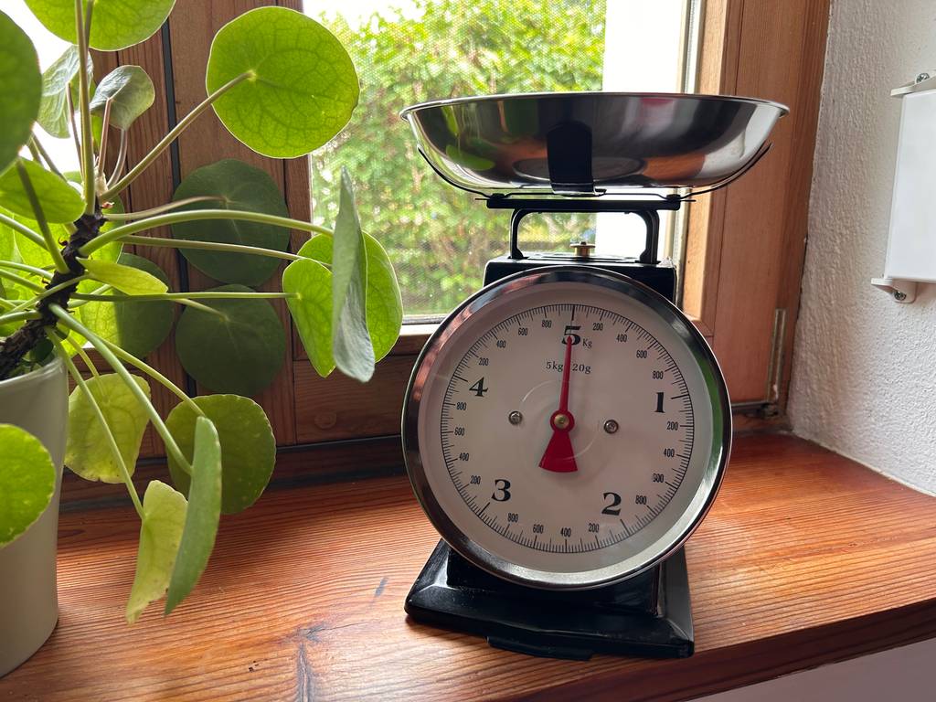 Küchenwaage mit Schüssel vor Fenster für einen Test