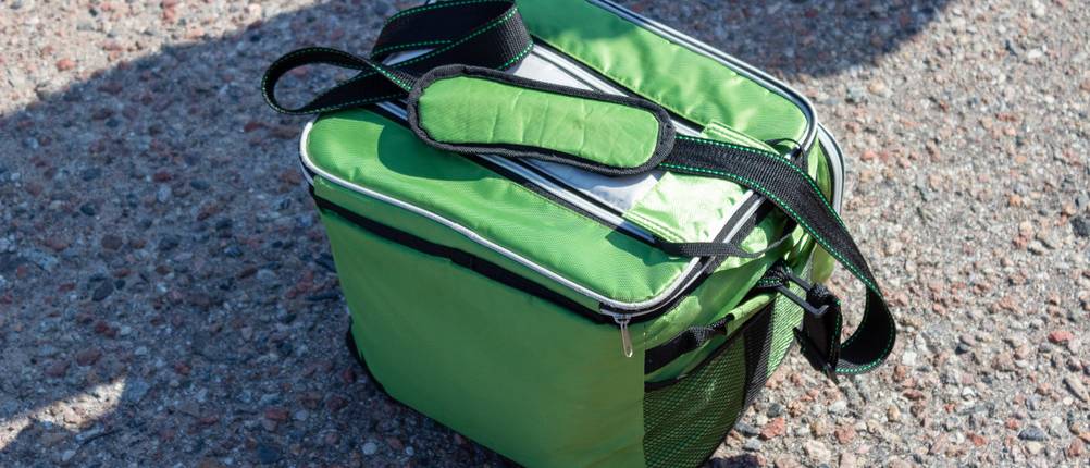 Kühltasche elektrisch Test