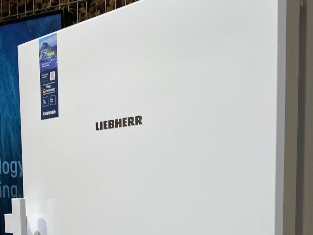 Kühlschrank mit Gefrierfach im Test: Nahaufnahme des Logos auf der Tür.