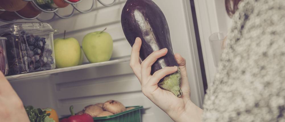 kühlschrank ohne gefrierfach frau