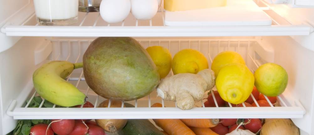 kühlschrank ohne gefrierfach test