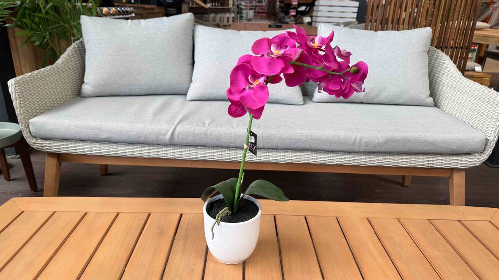 Künstliche Orchidee getestet: Die Orchidee steht auf einem Couchtisch.